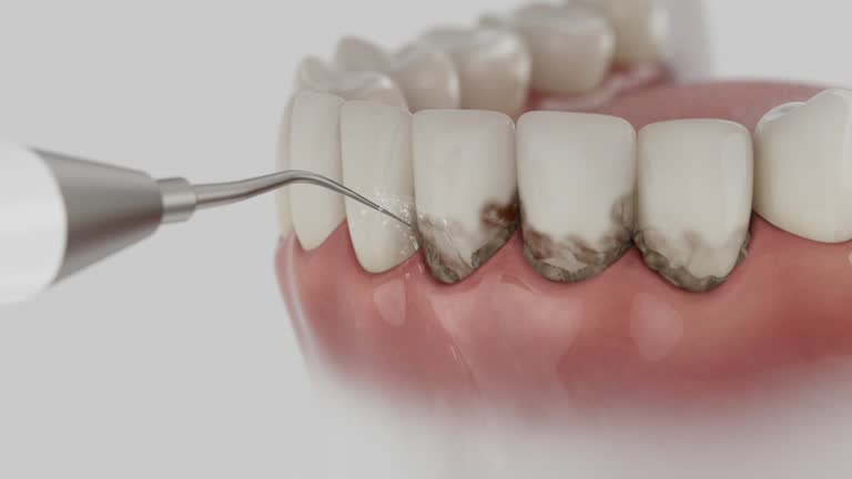 Reliable Dental contractor in Pascagoula, MS by Dentist Open Now